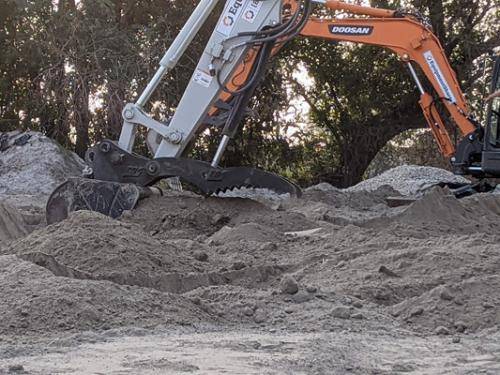 PXL 20210828 004302674.PORTRAIT