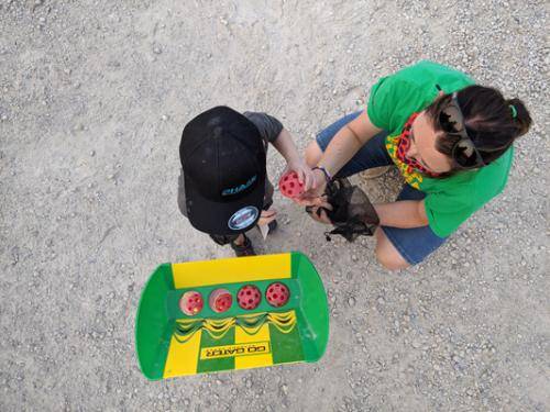 PXL 20210828 012357875.MP 