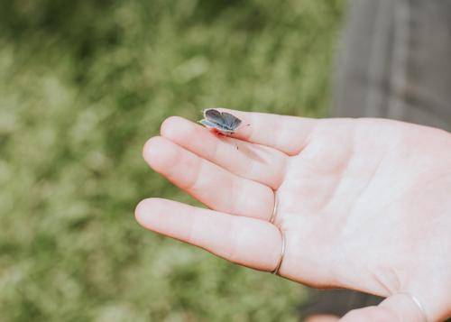 KidsWeekWednesday-47